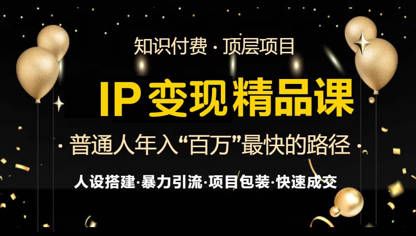IP变现最新精品课程，知识付费全流程+最强引流术+小白避坑指南-泡泡网赚