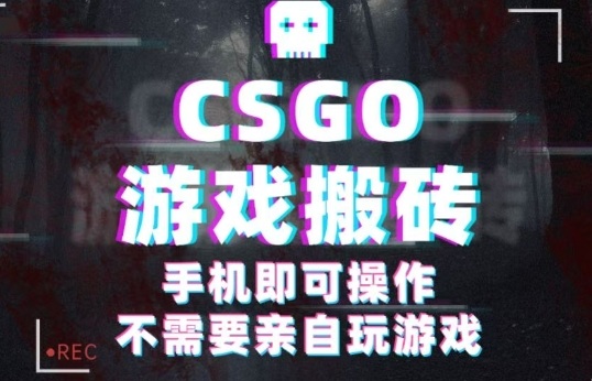 CSGO游戏挂G捡漏，单日扫货5张+，年底小高峰上车可吃肉，手机即可操作，兼职副业创业网创【揭秘】-泡泡网赚