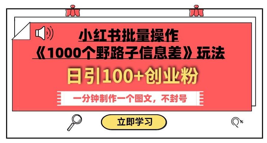 小红书批量操作《1000个野路子信息差》玩法，一分钟制作一个图文，不封号，日引100+创业粉-泡泡网赚