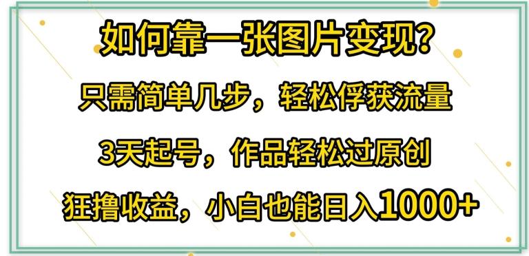 如何靠一张图片变现?只需简单几步，轻松俘获流量，3天起号，作品轻松过原创【揭秘】-泡泡网赚