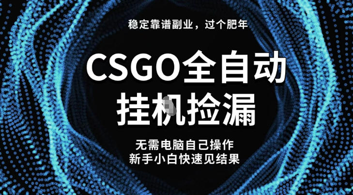 【稳定副业】全球最热门游戏CSGO全自动捡漏，最新玩法，新手小白日入5张+【揭秘】-泡泡网赚