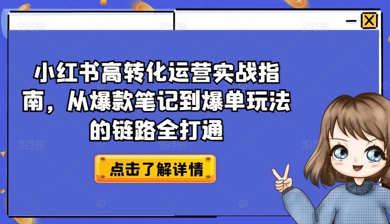 小红书高转化运营实战指南，从爆款笔记到爆单玩法的链路全打通-泡泡网赚