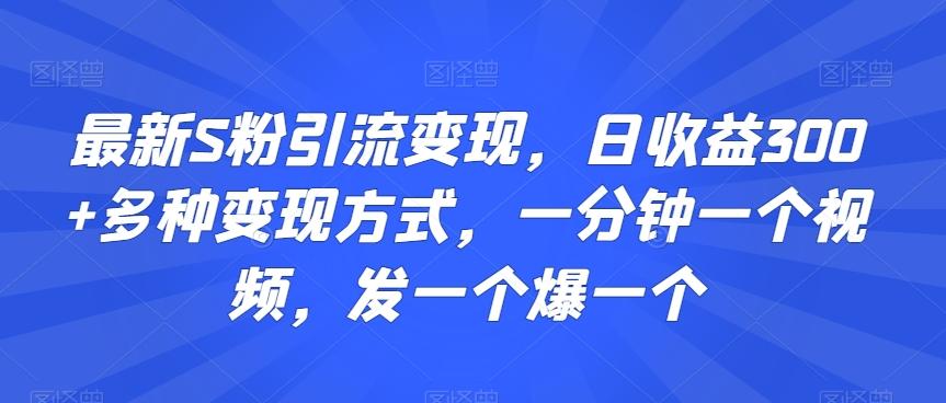 最新S粉引流变现，日收益300+多种变现方式，一分钟一个视频，发一个爆一个【揭秘】-泡泡网赚