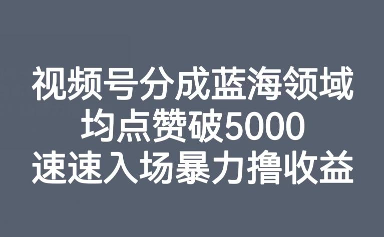 视频号分成蓝海领域，均点赞破5000，速速入场暴力撸收益-泡泡网赚