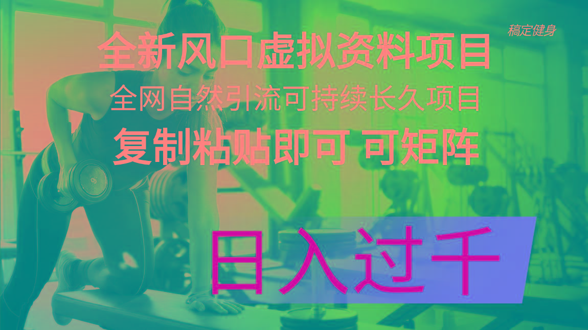 全新风口虚拟资料项目 全网自然引流可持续长久项目 复制粘贴即可可矩阵…-泡泡网赚