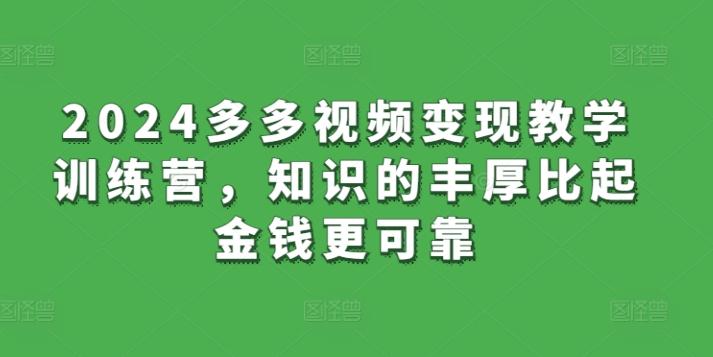 2024多多视频变现教学训练营，知识的丰厚比起金钱更可靠-泡泡网赚