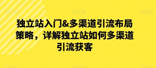 独立站入门&多渠道引流布局策略，详解独立站如何多渠道引流获客-泡泡网赚