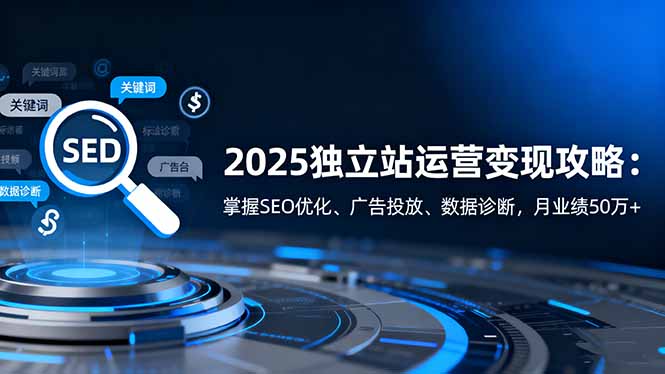 2025独立站运营变现攻略：掌握SEO优化、广告投放、数据诊断，月业绩50万+-泡泡网赚