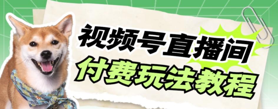 视频号美女付费无人直播，轻松日入500+【详细玩法教程】-泡泡网赚