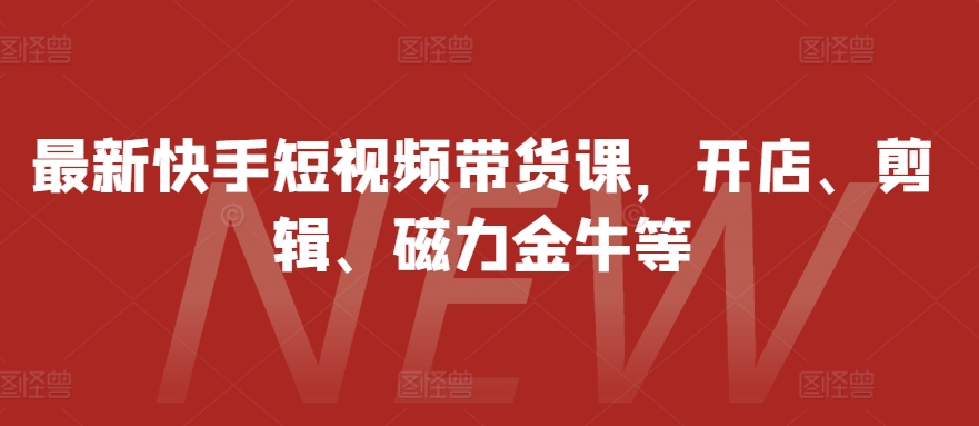 最新快手短视频带货课，开店、剪辑、磁力金牛等-泡泡网赚