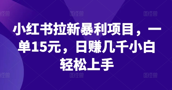 小红书拉新暴利项目，一单15元，日赚几千小白轻松上手【揭秘】-泡泡网赚