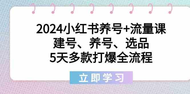 2024小红书养号+流量课：建号、养号、选品，5天多款打爆全流程-泡泡网赚