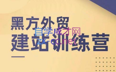 黑方老师·谷歌B端独立站建站推广-泡泡网赚