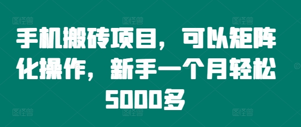 手机搬砖项目，可以矩阵化操作，新手一个月轻松5000多-泡泡网赚