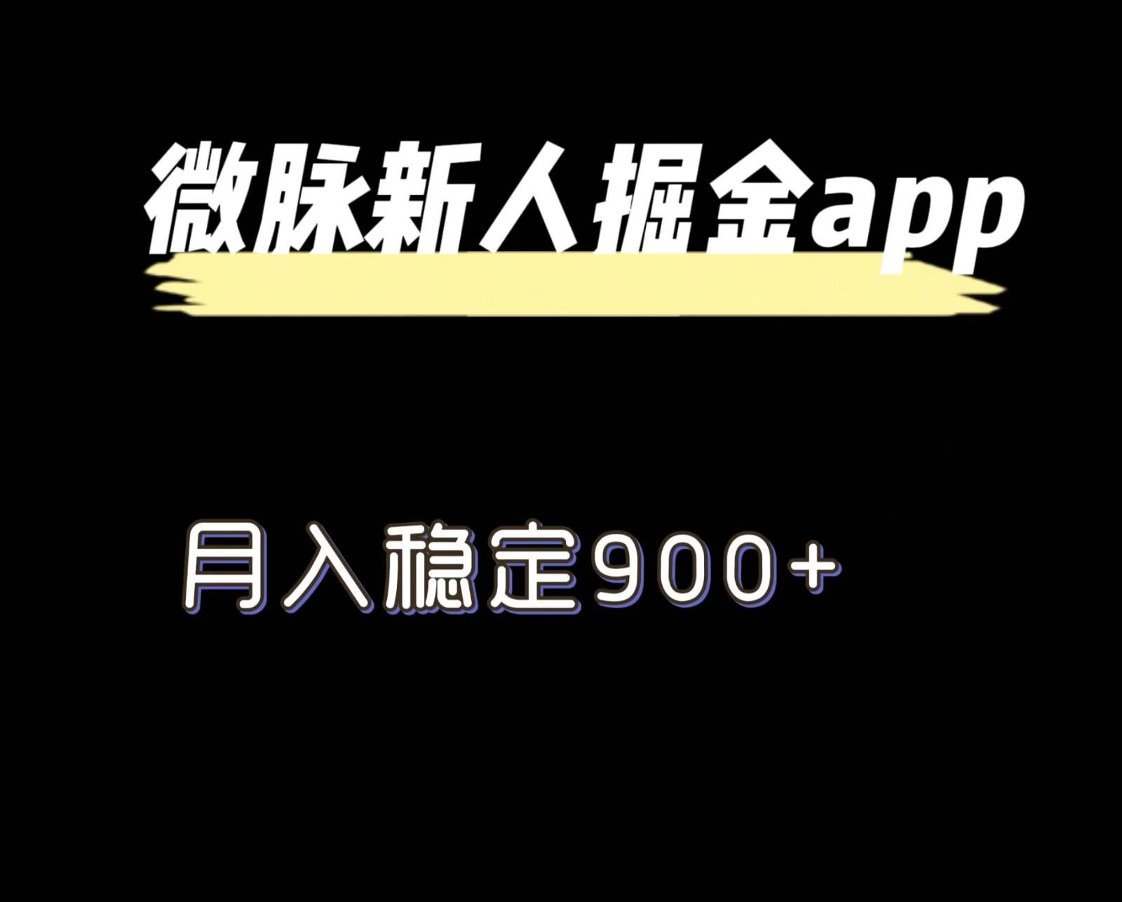 最新微脉长久项目，拉新掘金，月入稳定900+-泡泡网赚