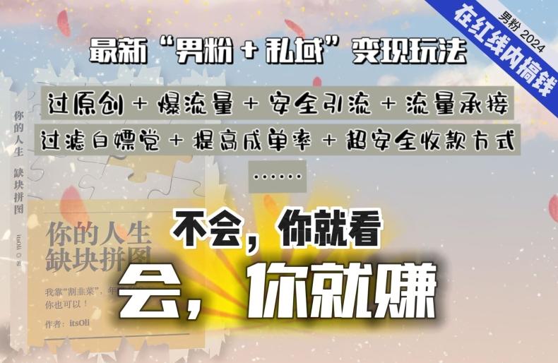 2024，“男粉+私域”还是最耐造、最赚、最轻松、最愉快的变现方式【揭秘】-泡泡网赚