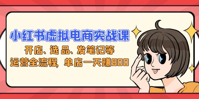 小红书虚拟电商实战课：开店、选品、发笔记等运营全流程，单店一天赚800-泡泡网赚
