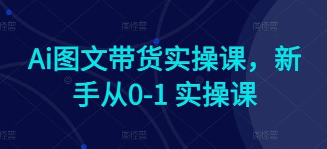 Ai图文带货实操课，新手从0-1 实操课-泡泡网赚