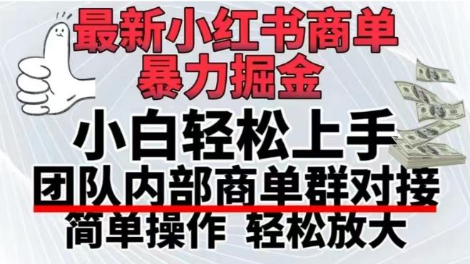 最新小红书商单，暴力掘金，单月稳定变现3W+-泡泡网赚