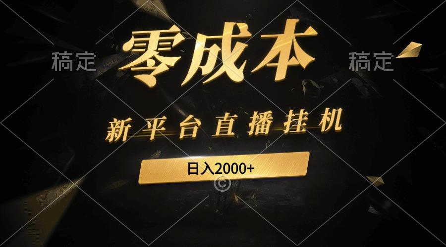 (9841期)新平台直播挂机最新玩法，0成本，不违规，日入2000+-泡泡网赚