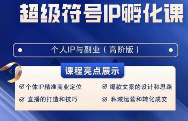 超级符号IP孵化高阶课，建立流量思维底层逻辑，打造属于自己IP（51节课）-泡泡网赚