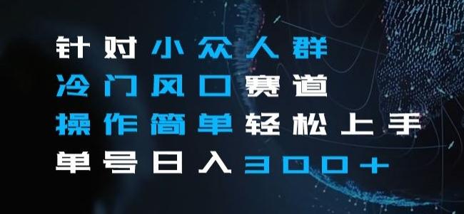 针对小众人群冷门风口赛道，操作简单轻松上手单号日入300+-泡泡网赚