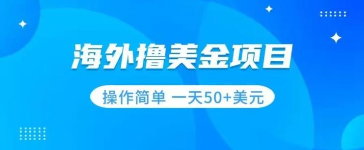 撸美金项目无门槛操作简单小白一天50+美刀-泡泡网赚
