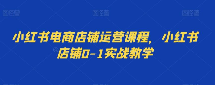 小红书电商店铺运营课程，小红书店铺0-1实战教学-泡泡网赚