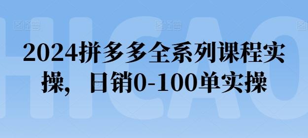 2024拼多多全系列课程实操，日销0-100单实操【必看】-泡泡网赚