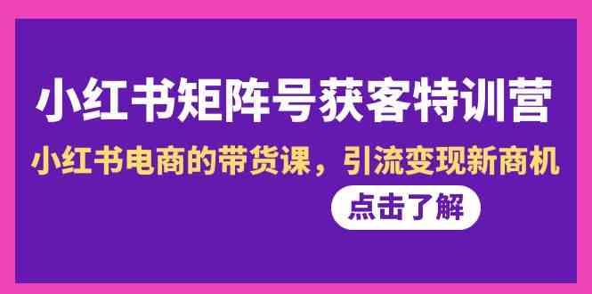 小红书矩阵号获客特训营-第10期，小红书电商的带货课，引流变现新商机-泡泡网赚