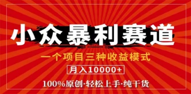 视频号最新爆火赛道，三种可收益模式，0粉新号条条原创条条热门 日入1000+-泡泡网赚