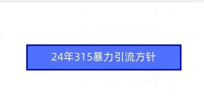 24年315暴力引流方针-泡泡网赚