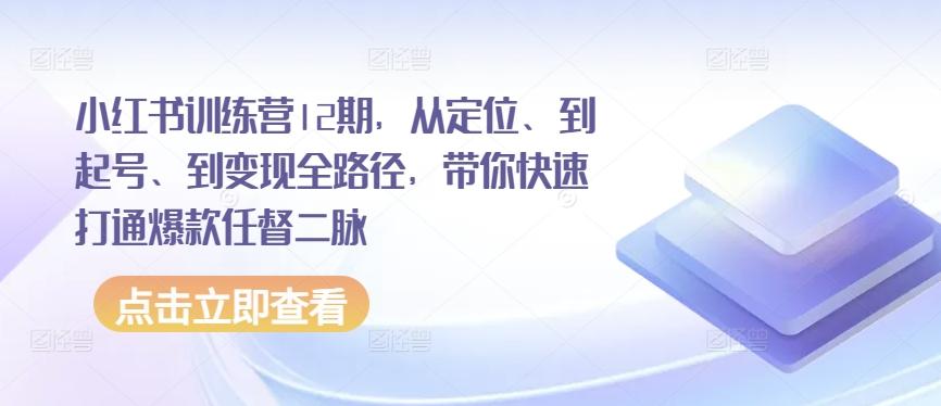 小红书训练营12期，从定位、到起号、到变现全路径，带你快速打通爆款任督二脉-泡泡网赚
