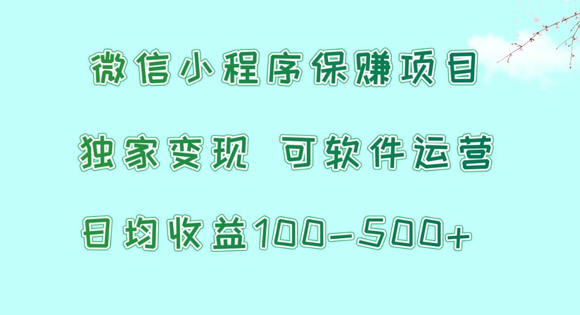 微信小程序保赚项目，日均收益100~500+，独家变现，可软件运营-泡泡网赚
