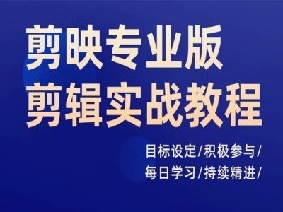 剪映专业版剪辑实战教程，目标设定/积极参与/每日学习/持续精进-泡泡网赚