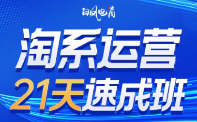 淘系运营21天速成班(更新9月)-泡泡网赚