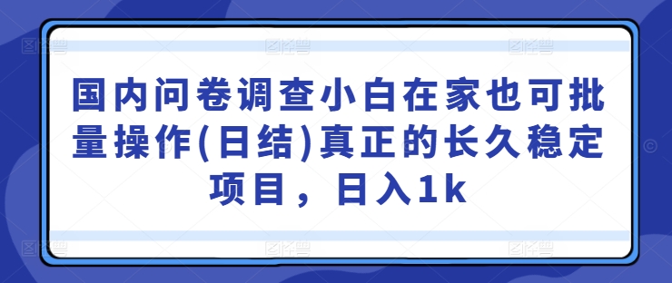 国内问卷调查小白在家也可批量操作(日结)真正的长久稳定项目，日入1k【揭秘】-泡泡网赚