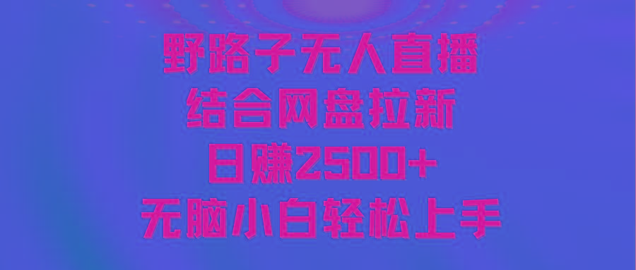 无人直播野路子结合网盘拉新，日赚2500+多平台变现，小白无脑轻松上手操作-泡泡网赚