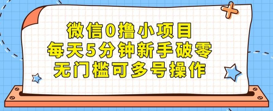 微信0撸小项目，每天5分钟新手破零，无门槛可多号操作-泡泡网赚
