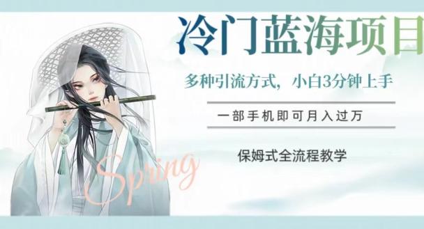 冷门蓝海项目，操作简单，小白3分钟上手，多种引流方式，保姆式全流程教学【揭秘】-泡泡网赚