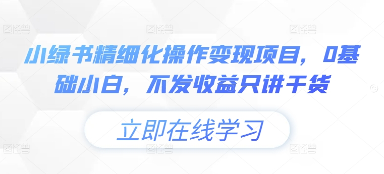 小绿书精细化操作变现项目，0基础小白，不发收益只讲干货-泡泡网赚