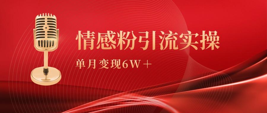 (9473期)单月变现6w+，情感粉引流变现实操课-泡泡网赚