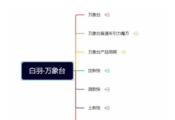 白羽·直引万搜索全篇，从0-1，多个类目实操经验总结付费-泡泡网赚