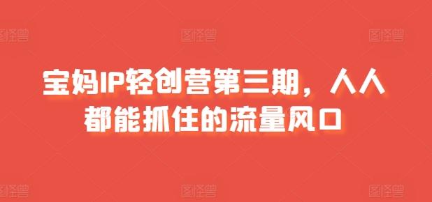 宝妈IP轻创营第三期，人人都能抓住的流量风口-泡泡网赚