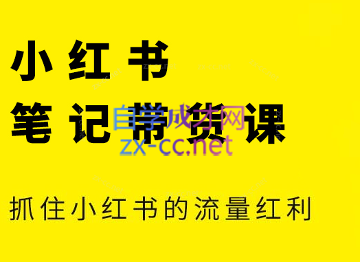 张宾·小红书笔记带货课(更新9月)-泡泡网赚