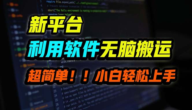 B站平台用软件无脑搬运，月赚10000+，小白也能轻松上手-泡泡网赚