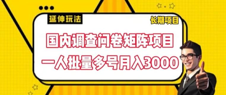 国内调查问卷矩阵项目，一人批量多号月入3000【揭秘】-泡泡网赚