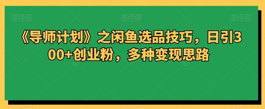 《导师计划》之闲鱼选品技巧，日引300+创业粉，多种变现思路-泡泡网赚
