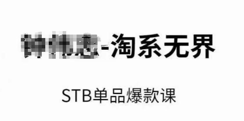 淘系无界STB单品爆款课(2024)，付费带动免费的核心逻辑，万相台无界关键词推广/精准人群的核心-泡泡网赚