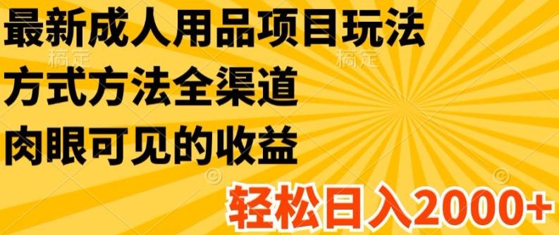 最新成人用品项目玩法，方式方法全渠道，轻松日入2K+【揭秘】-泡泡网赚